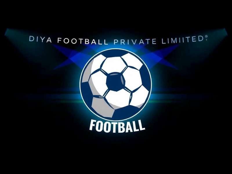 Professional Footballs